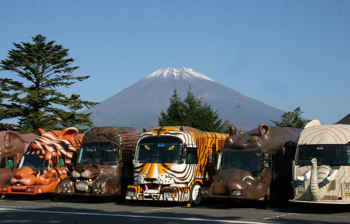 日本最大級の動物園・富士サファリパーク