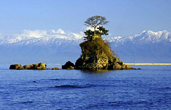 対馬海流が育む屈指の漁場、富山湾の海の幸