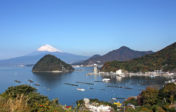 静岡県東部、伊豆半島の付け根に位置する「沼津」を愉しむ