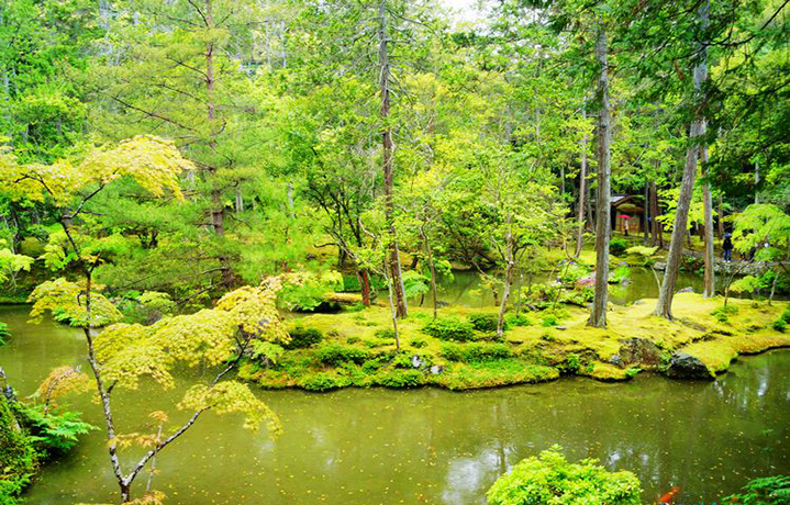名庭園を訪れて日本の美を学び、あなたもレキジョに！