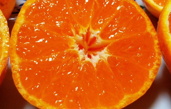 愛媛といえばみかん。多くの人に愛される愛媛の豊富な柑橘類