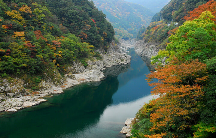 徳島の渓谷に身をゆだねる休日、大歩危小歩危とは？ 