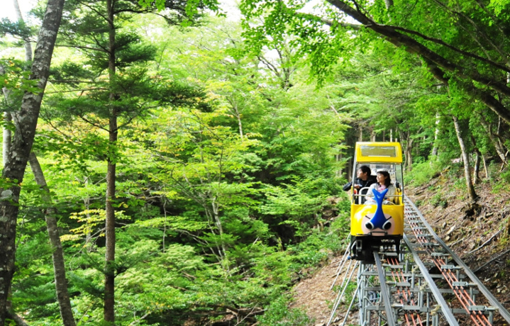 徳島県の山奥の秘境にある世界一のモノレール