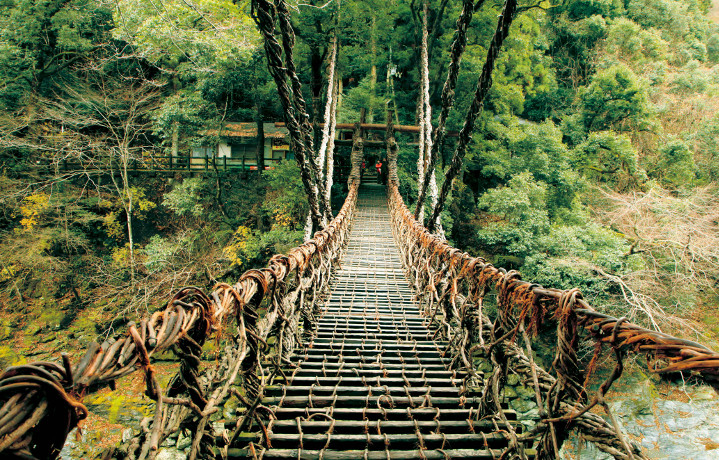 スリル満点！日本三奇橋の一つ「祖谷のかずら橋」