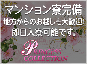 PRINCESS COLLECTION ショップ画像4
