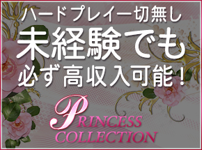 PRINCESS COLLECTION ショップ画像2